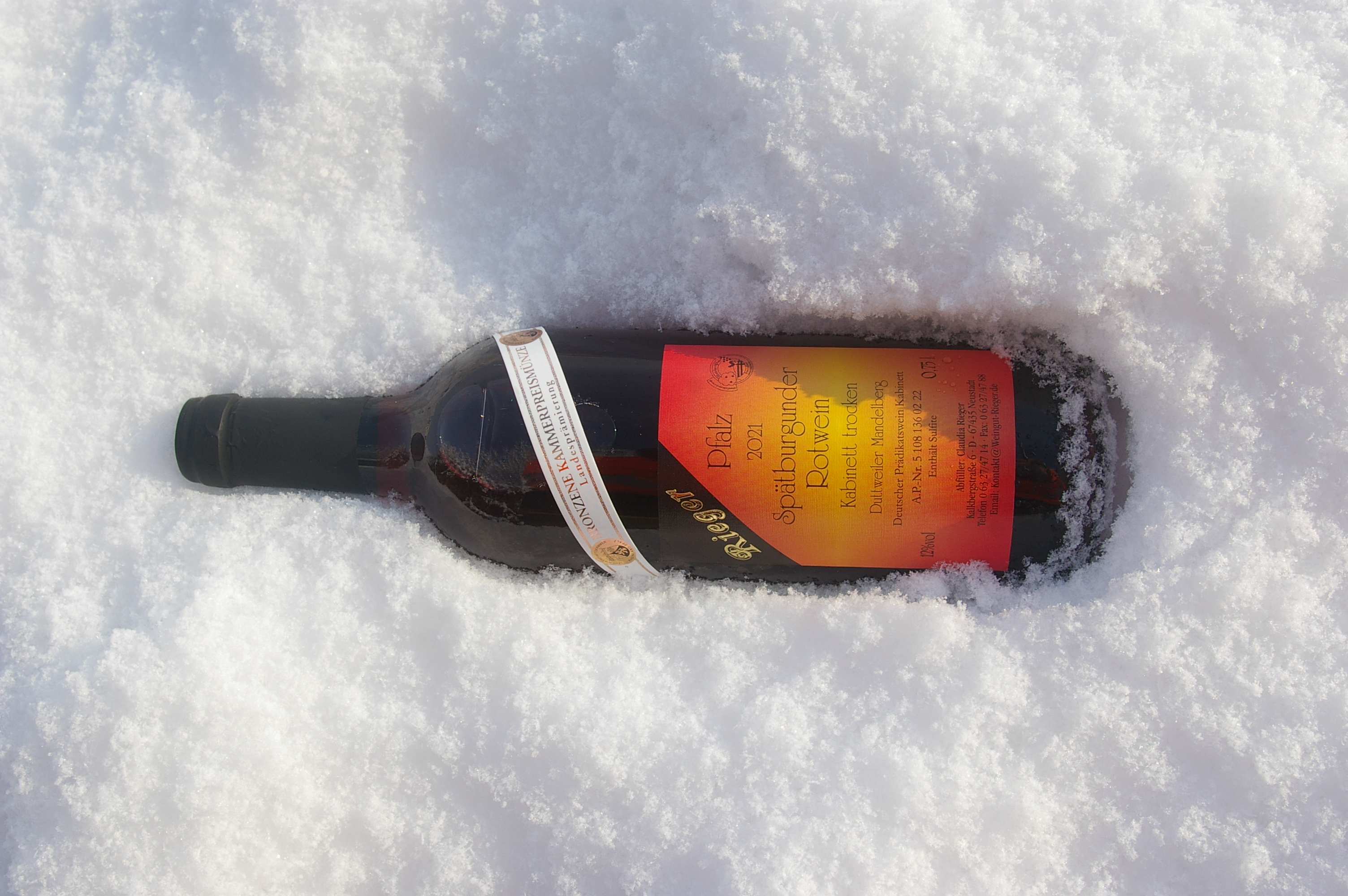 2021er Spätburgunder Rotwein - trocken