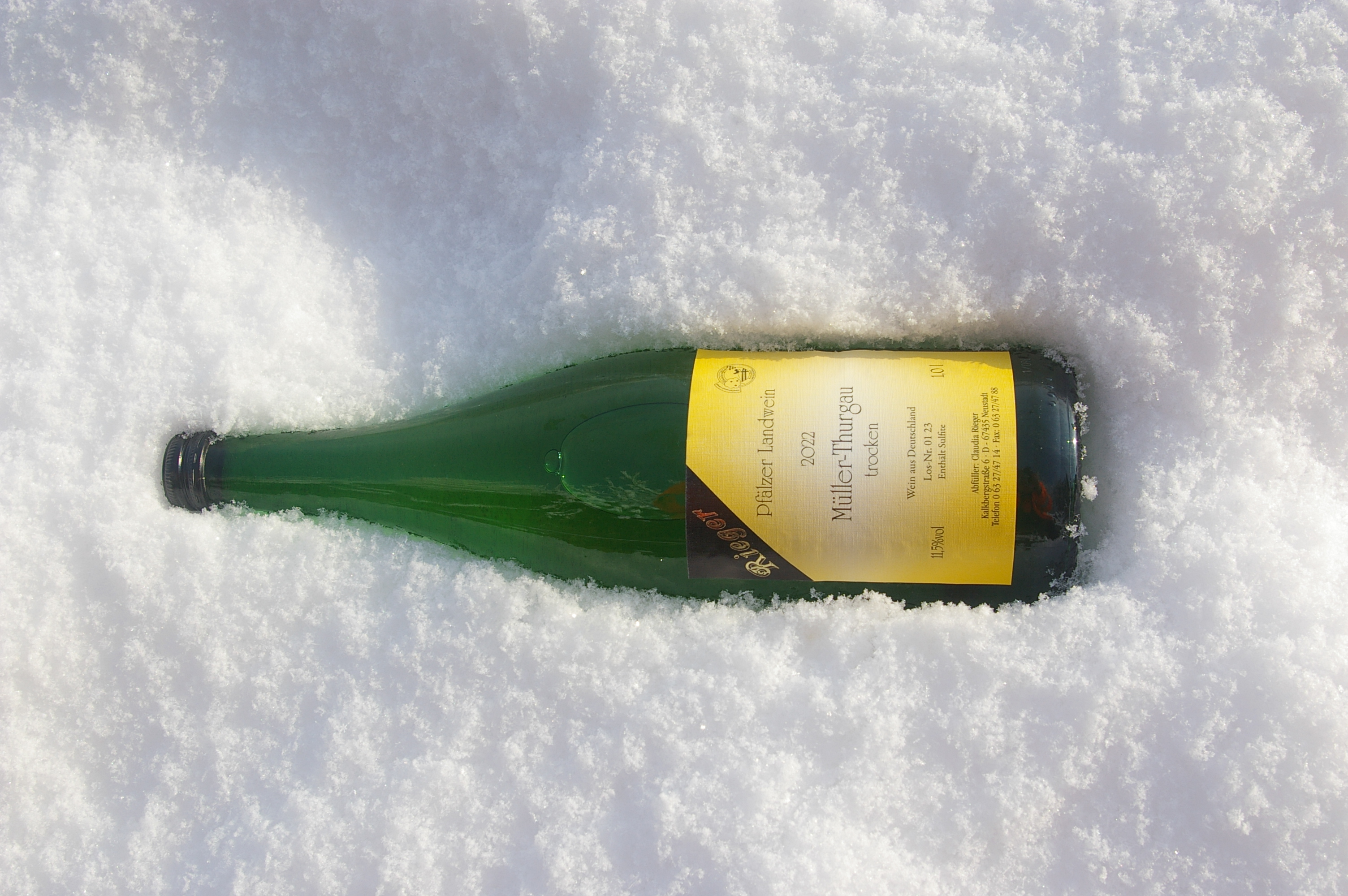 2022er Müller-Thurgau - trocken