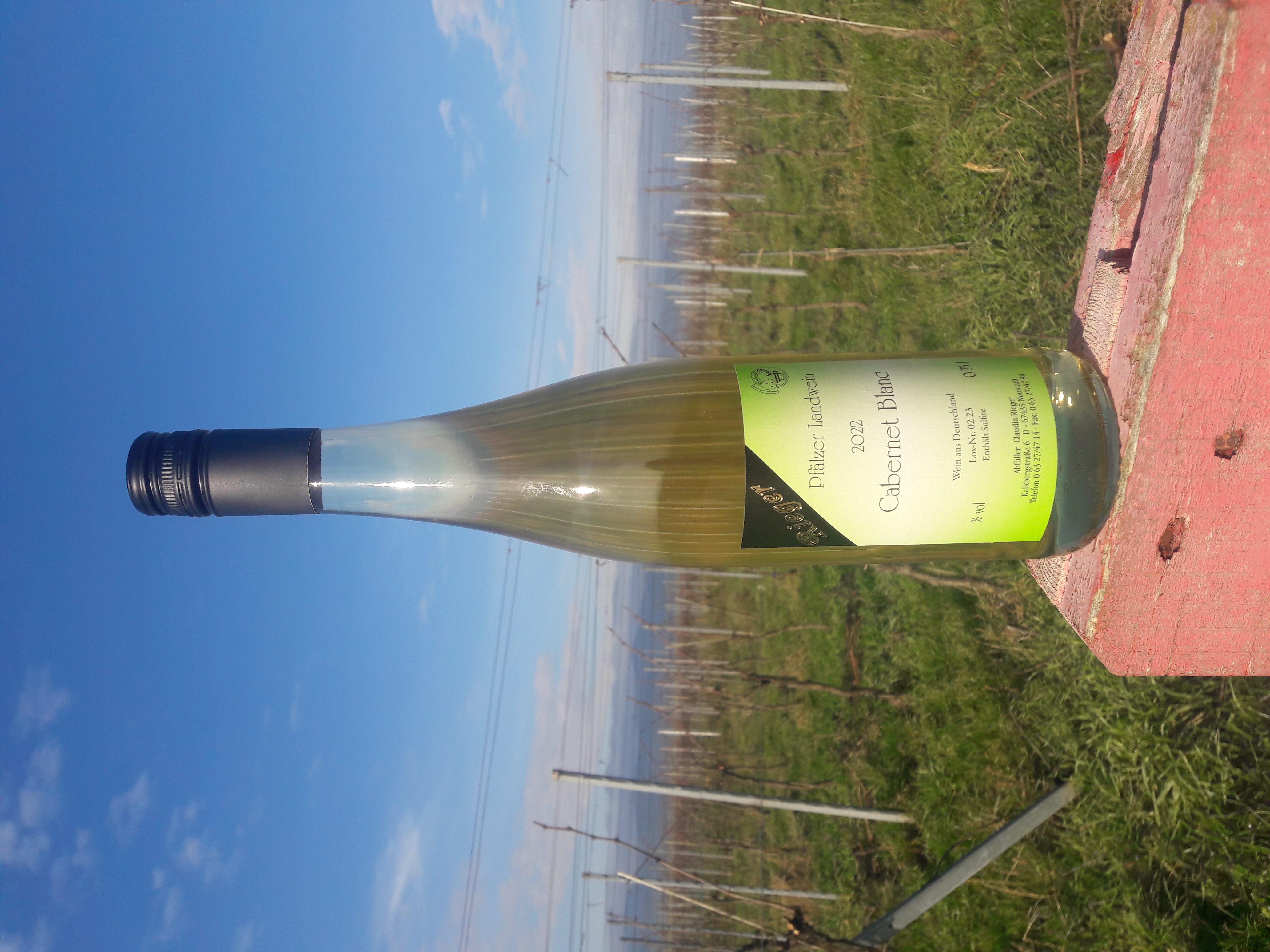 2022er Cabernet Blanc